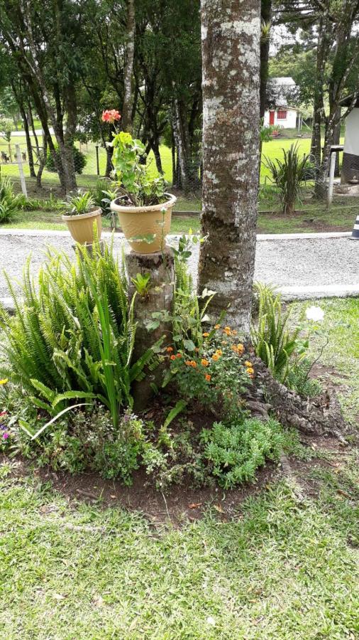 Recanto Do Saiqui Canela Eksteriør bilde